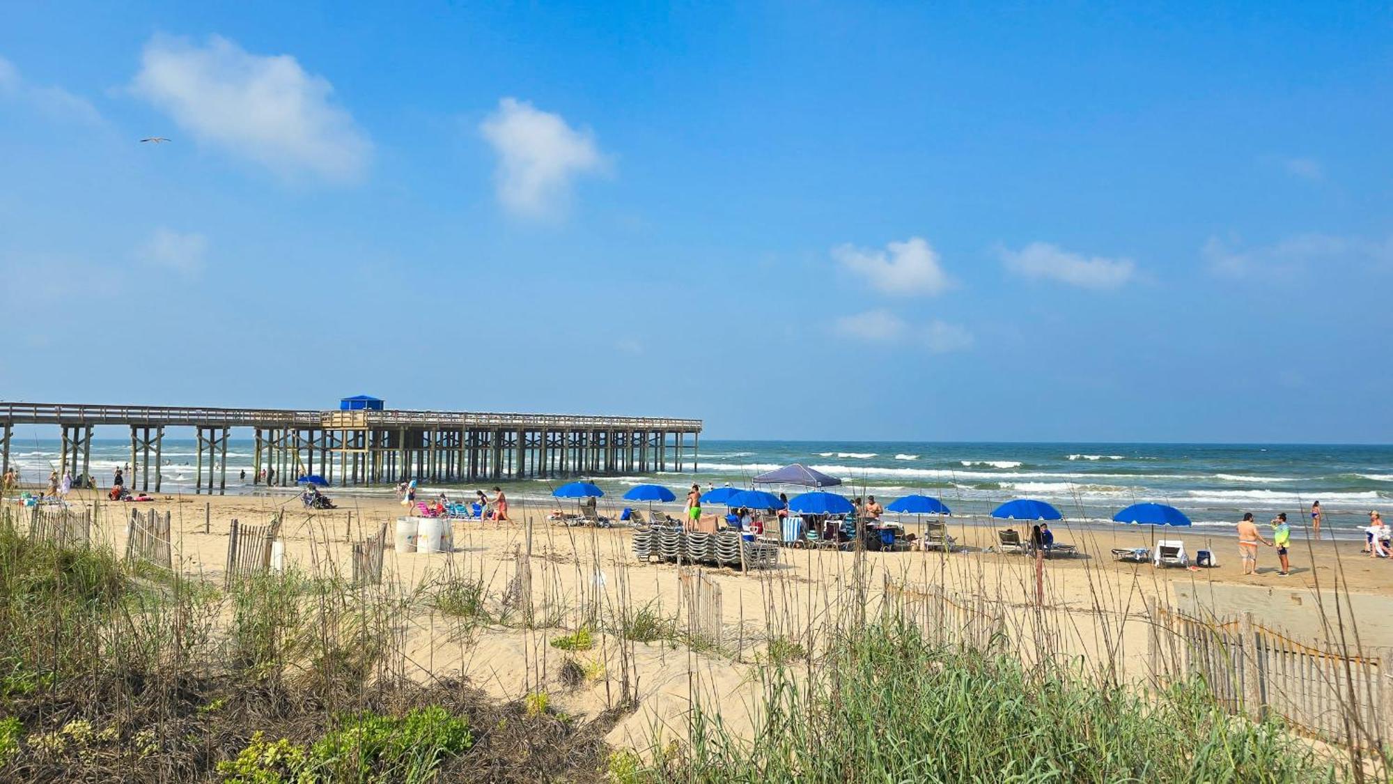 Herons Haven Coastal Elegance With Pool Access 223 South Padre Island Eksteriør bilde